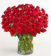 100 Premium Long Stem Red Roses