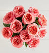 Pink Arbor Roses™