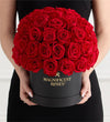 Preserved Domani Red Roses