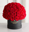 Preserved Domani Red Roses