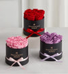 Magnificent Roses® Preserved Red Roses
