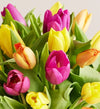 Assorted Tulip Bouquet