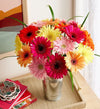 Happy Gerbera Daisies, 12-24 Stems