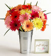 Happy Gerbera Daisies, 12-24 Stems