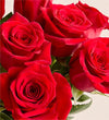 Two Dozen Red Roses with Luxury Posh™ Vase