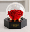 Magnificent Roses® Preserved Illuminating Rose
