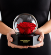 Magnificent Roses® Preserved Illuminating Rose