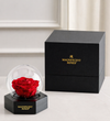 Magnificent Roses® Preserved Illuminating Rose