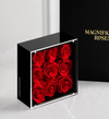 Magnificent Roses® Preserved Love Vault
